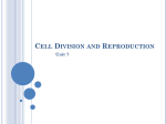 Cell Division and Reproduction