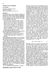 The role of ATP in metabolism