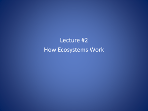 Chapter 3 Lecture #2 How Ecosystems Work