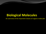 Biological Molecules