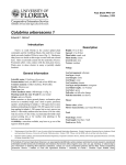 Colubrina arborescens 1 Introduction Description October, 1999