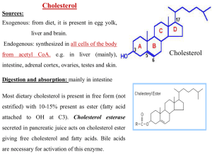 cholesterol and lipo..