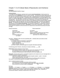 Chapter 11,12,15 Cellular Basis of Reproduction and Inheritance