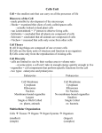 Cell Theory