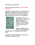 Cell Structure and Function There are two types of cells: Prokaryotes