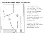 Carbon in anaerobic aquatic environments