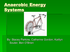 Anaerobic Energy Systems