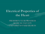 Electrical properties - Akademik Ciamik 2010