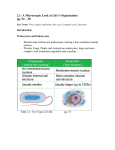 2.1: A Microscopic Look at Life’s Organization  pg. 52 – 58