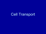 Cell Transport