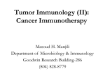 Cancer Immunology