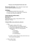 Different Kinds of Cells Notes