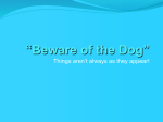 “Beware of the Dog”