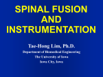 strength of the anterior vertebral screw fixation in