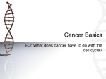 Cancer Basics