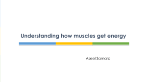 Understanding how muscles get energy