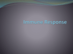 Immune Response