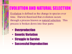 Evolution - cccoe.net