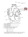 Heart Quiz