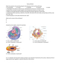 Review Module Macromolecules, Cell Theory, Organelles, Cell