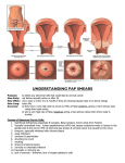 understanding pap smears