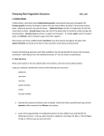 Flowering Plant Vegetative Structures