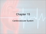 Cardiovascular System PPT - Effingham County Schools