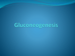 Gluconeogenesis