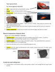 Mineral Composition of Igneous Rock