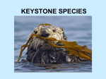 keystone species - Wando High School