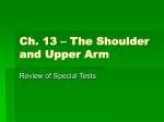 Ch. 13 – The Shoulder and Upper Arm