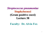 Strept-Staph