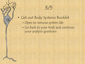 Nervous System