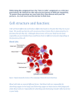 Cell structure and function File