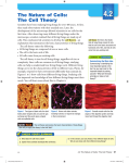 4.2 - Cell Theory