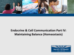 04 Endocrine and Cell Communication