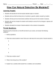 How Can Natural Selection Be Modeled? Learning Targets