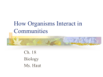 How Organisms Interact in Communities