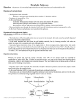 Digestion and Metabolism