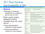 Plant Transport