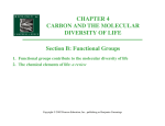 CHAPTER 4 CARBON AND THE MOLECULAR DIVERSITY OF LIFE