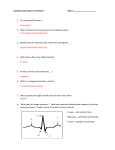 Review Sheet Answers Word Doc