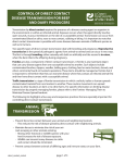 control of direct contact disease transmission for beef and dairy