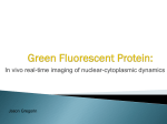 Green Fluorescent Protein: