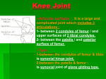 46-L.L-N.injury