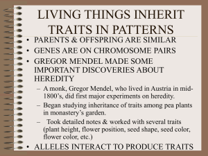 in sexual reproduction to genes are passed from parent offspring in