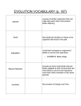 EVOLUTION VOCABULARY (p. 167)