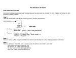 Bohr-Rutherford Lewis Dot Diagrams Worksheet