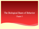 The Biological Bases of Behavior