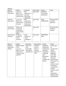 Table of Muscles